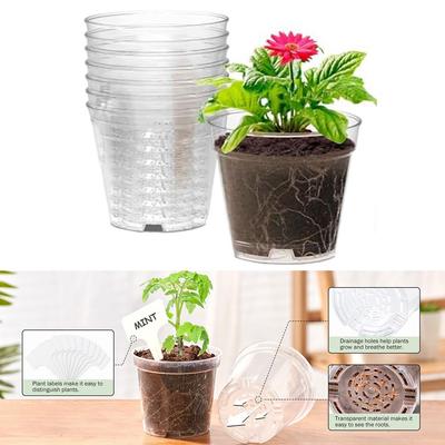 Nurturing Your Plants Set of Eight Clear Nursery Pots Four Inches Size