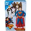 DC Comics Figures 12i Team Up Gift Pack 4-Pack