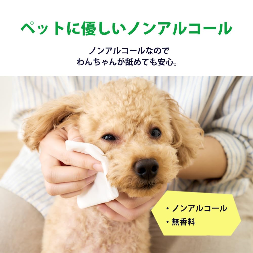 Iris Ohyama Pet Wet Safe for 80 Sheets x 8 Packs of Wipes, Alcohol-Free, Licks, (Set 4) DPWT-8P