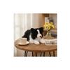 Border Collie Stuffed Animal Dog Realistic Border Collie Stuffed Animal Stuffed Dog with Stuffed Animal Tail Lifelike Soft