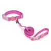 Transparent Buckle Collar Candy Color Pet Cat Dog Collars Leashes For Small Medium Dogs