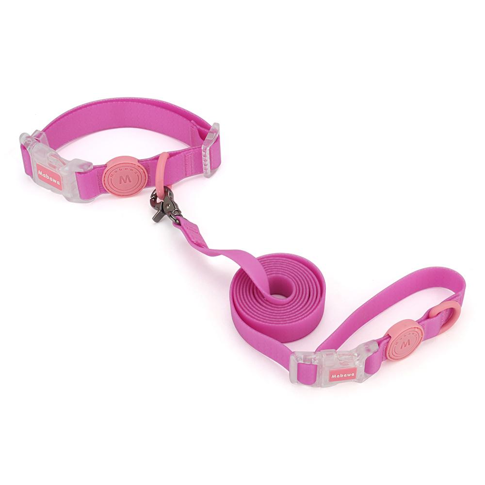 Transparent Buckle Collar Candy Color Pet Cat Dog Collars Leashes For Small Medium Dogs