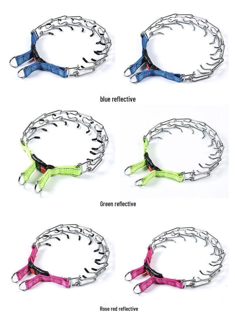 Avtagbar Metallhundträningshalsband med Järnspänne