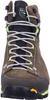 Обувь для треккинга Dolomite 54 Hike Evo GTX mud green/green