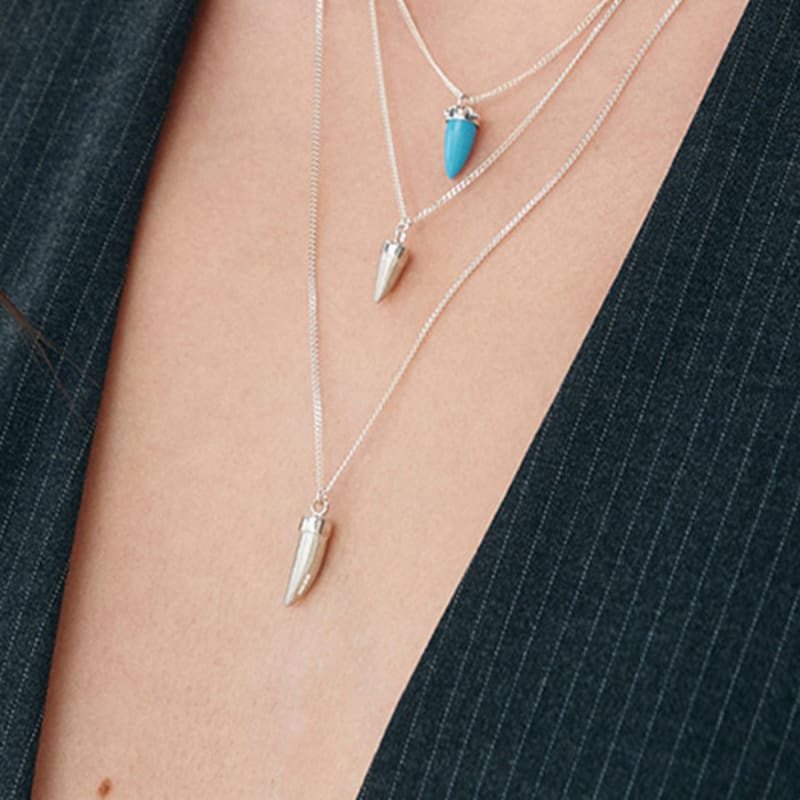 

NEBR piece of luck 11N Silver