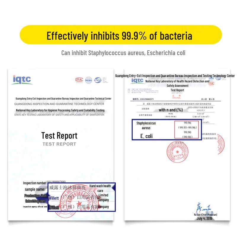 Walch Antibacterial Moisturizing Hand Soap