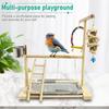 Wood Bird Playground Parrot Playstand with Feeder Cups Ladder Versatile Exercise Swing Toys for