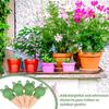Automatic Potted Plant Watering System Frog Shape Ceramic Irrigation Spikes Efficient Self Watering Planter Insert Plant Waterer