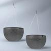 2Pcs Plastic Hanging Planter Basket Round Wall Mounted Flowerpot for Small Plants Succulents Indoor Outdoor Decoration Stylish