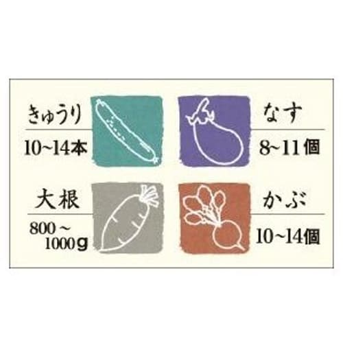 Risu Instant Pickle Container, Square, Green, 3L, Hyperpet, Recipe Included, Made In Japan, S-30