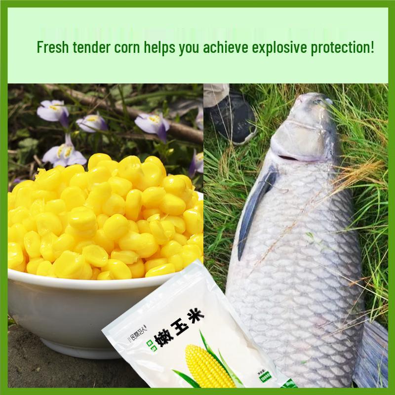 Isca de Milho Fresco Fermentado para Pesca