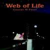 Web of Life by Gaurav M Patel Hardback Book 9780595671113