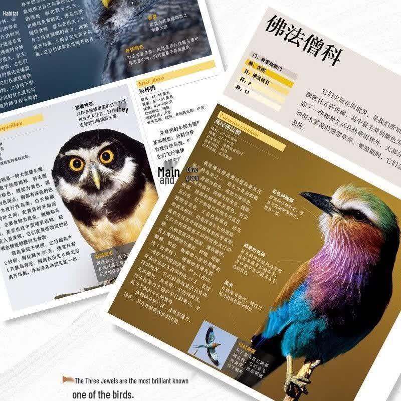 National Geographic Animal Encyclopedia