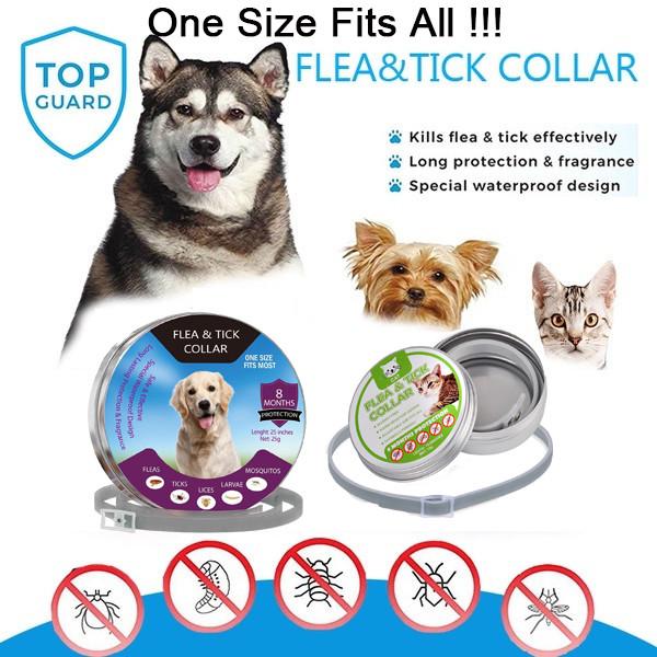 outdoor dog supply collars
