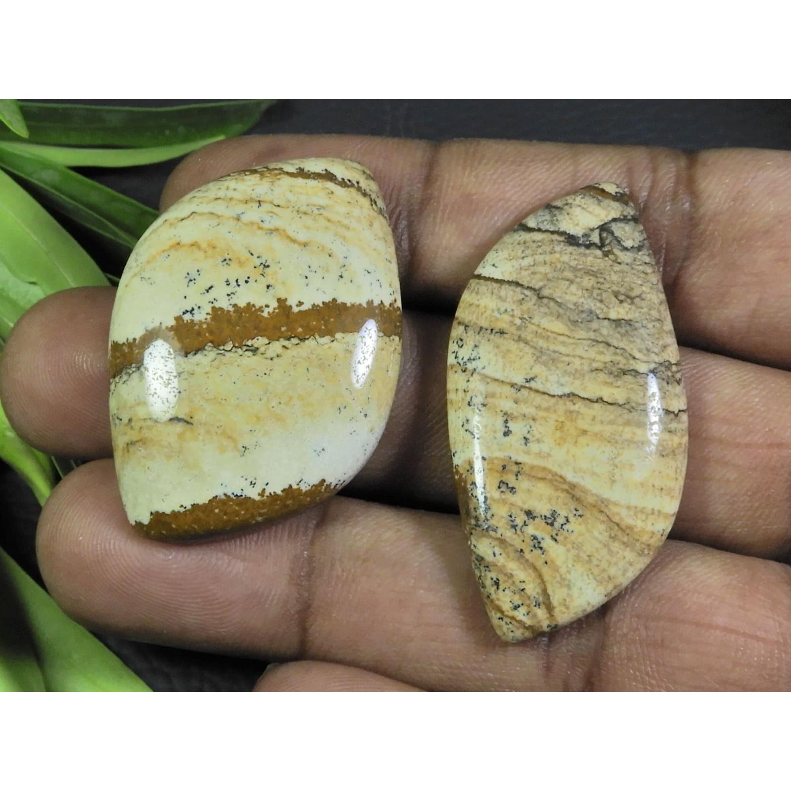 

104Cts. 2Pcs Natural Picture Jasper Fancy Cabochon Gemstone 21X43-26X37MM A-99