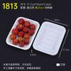 Disposable PP Plastic Food Trays