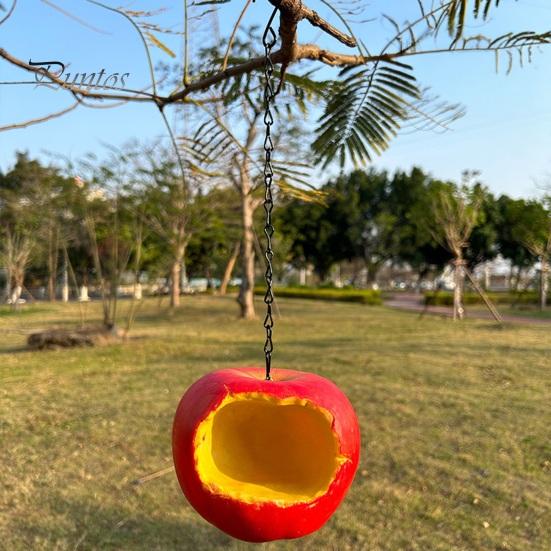 Weather-resistant Bird Feeder Fruit Shape Hanging Feeder, Outside Resin Bowl, Weather-proof Feeding Station for Outdoor Garden Patio Yard