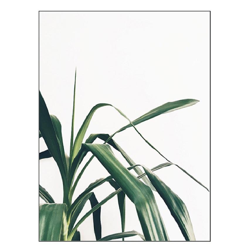 Weiße Tulpe, grüne Sukkulenten, Aloe, Monstera, Pflanzenkunst, nordisches Poster, Leinwandmalerei und Druck von Wandbildern für die Wohnzimmerdekoration