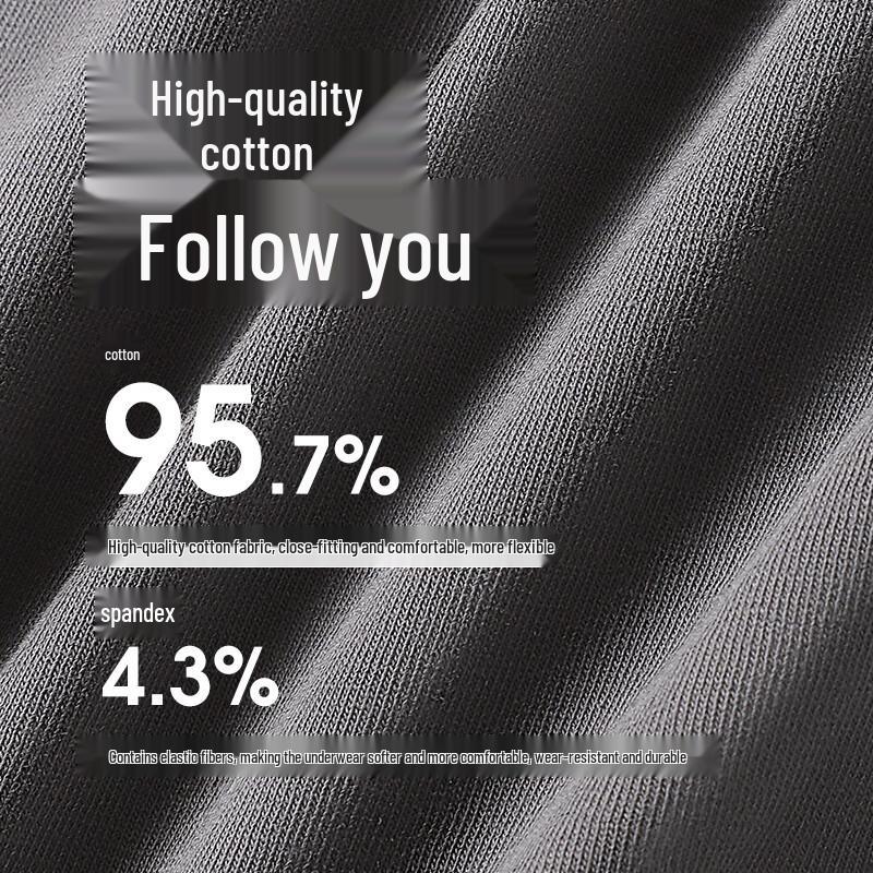 Lonsa Men's 5A Antibacterial Breathable Triangle Briefs 4-Pack