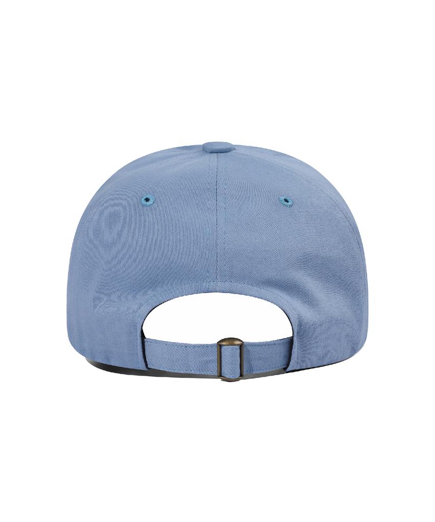 CPGN STUDIO Home Protector Ball Cap Sky