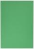 Nagatoya Shoten Crayon Color A4 Green 20 Sheets 0392004 Na-CR004