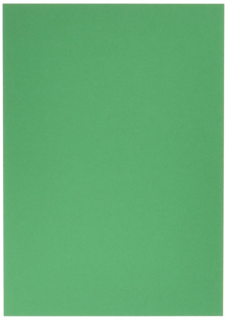 Nagatoya Shoten Crayon Color A4 Green 20 Sheets 0392004 Na-CR004