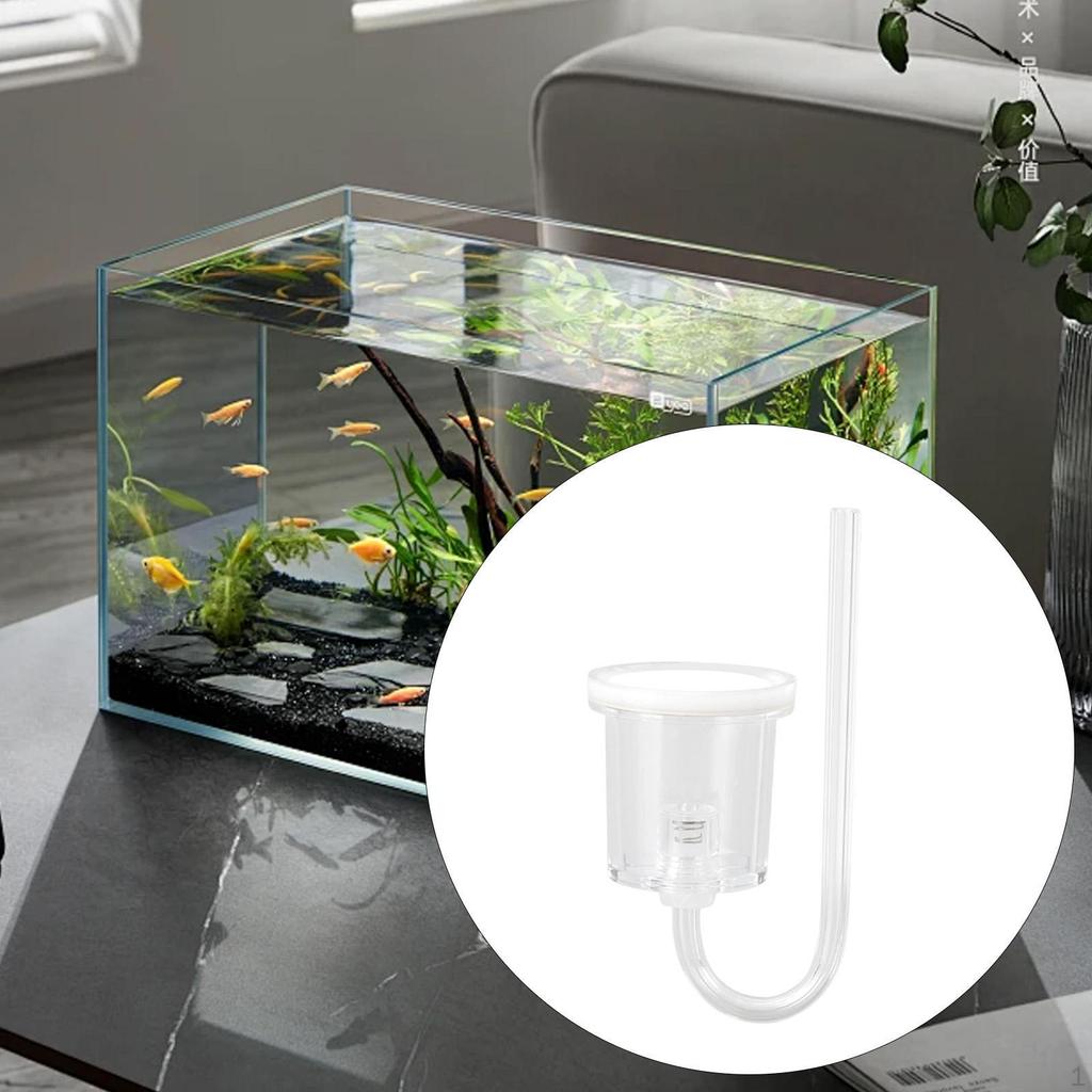 Acrylic Accessories Lightweight Aquarium CO2 System for Aquatic Plants Desk Photo Office