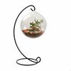 Micro Landscape Bottle Creative Gift Slanted Opening Glass Planter Functional Ornamental