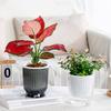 Self Watering Plant Pot Plastic Flower Pot with Water Reservoir Wick Ropes Modern Indoor Planter for Home Office Desktop