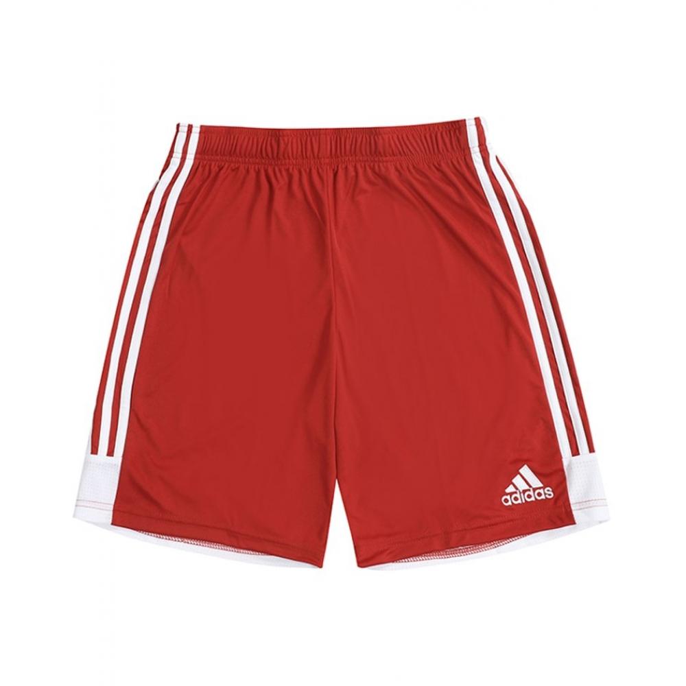 Adidas Shorts Dp3681 Tastigo19 Short