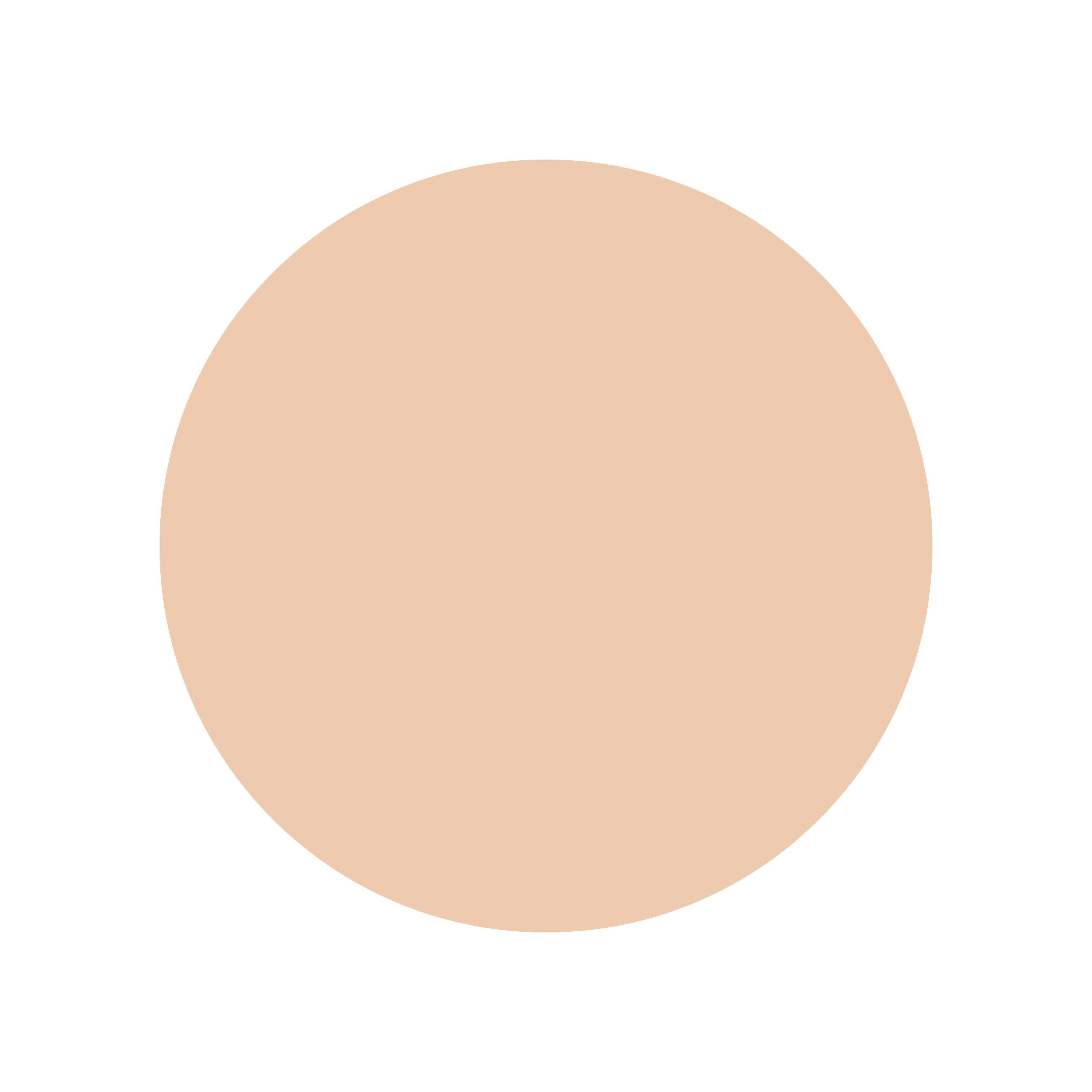 lilybyred Cotton Blur Cushion 15g #19