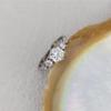 1 Carat Moissanite Classic Six-Claw S925 Silver Ring for Women