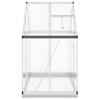 Greenhouse with Foundation Frame Silver 169 x 114 x 202 cm Aluminum