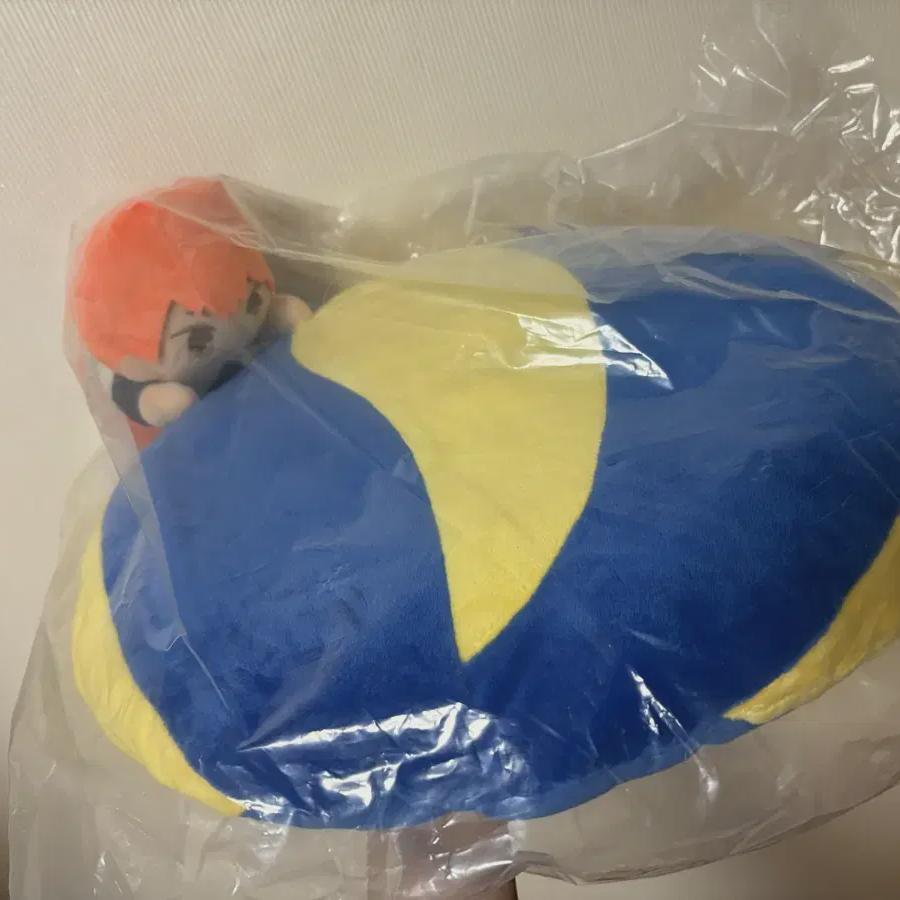 

Haikyu Kuji Hinata Shoyo Cushion