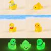 Luminous Landscape Micro Duck Resin Ornament Gardening Desktop Accessories Mini