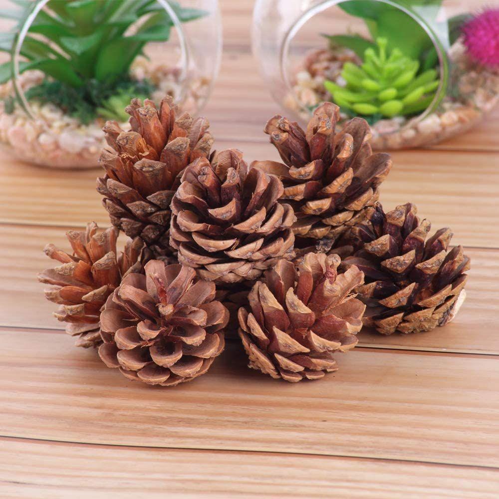 Natural Pine Cone for Christmas Tree Decoration (Pack of 6) | Christmas Ornaments Props | Christmas Decorations Items for Home Office