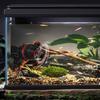 Automatic Waves Maker Wavemakers Water Pump Fish Tanks Aquariums Surfs Pump for Peaceful Aquariums Environment