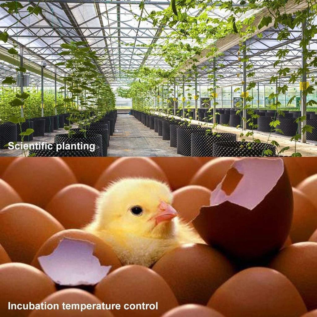 AITRIP 3 STÜCK W1209 12V DC Digitales Temperaturreglerboard mit 10A Einkanalrelais und Wasserdichtem Mikro-Digitalthermostat -50-110°C