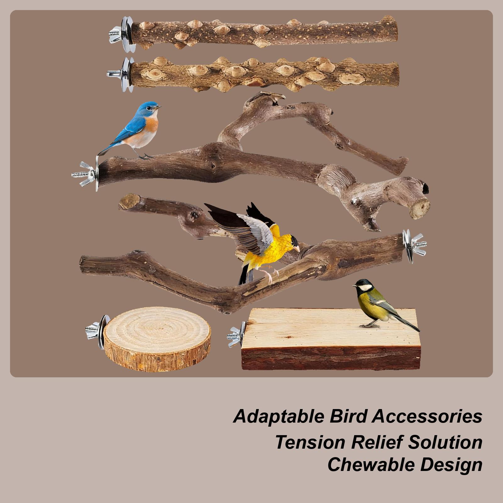 Bird Perches For Cage Anti-Slip Climbing Chew Toys Bird Perches Cockatiel Cage Accessories For Macaw Cockatiel Lovebird Finch China Mainland