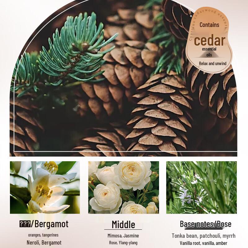 Seeyoung Essential Oil Fragrance Conditioner