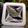 Ornamental Habitat Aquarium Fish Hideout Hollow Tube Shrimp Hiding Places  Fish Tank Decoration