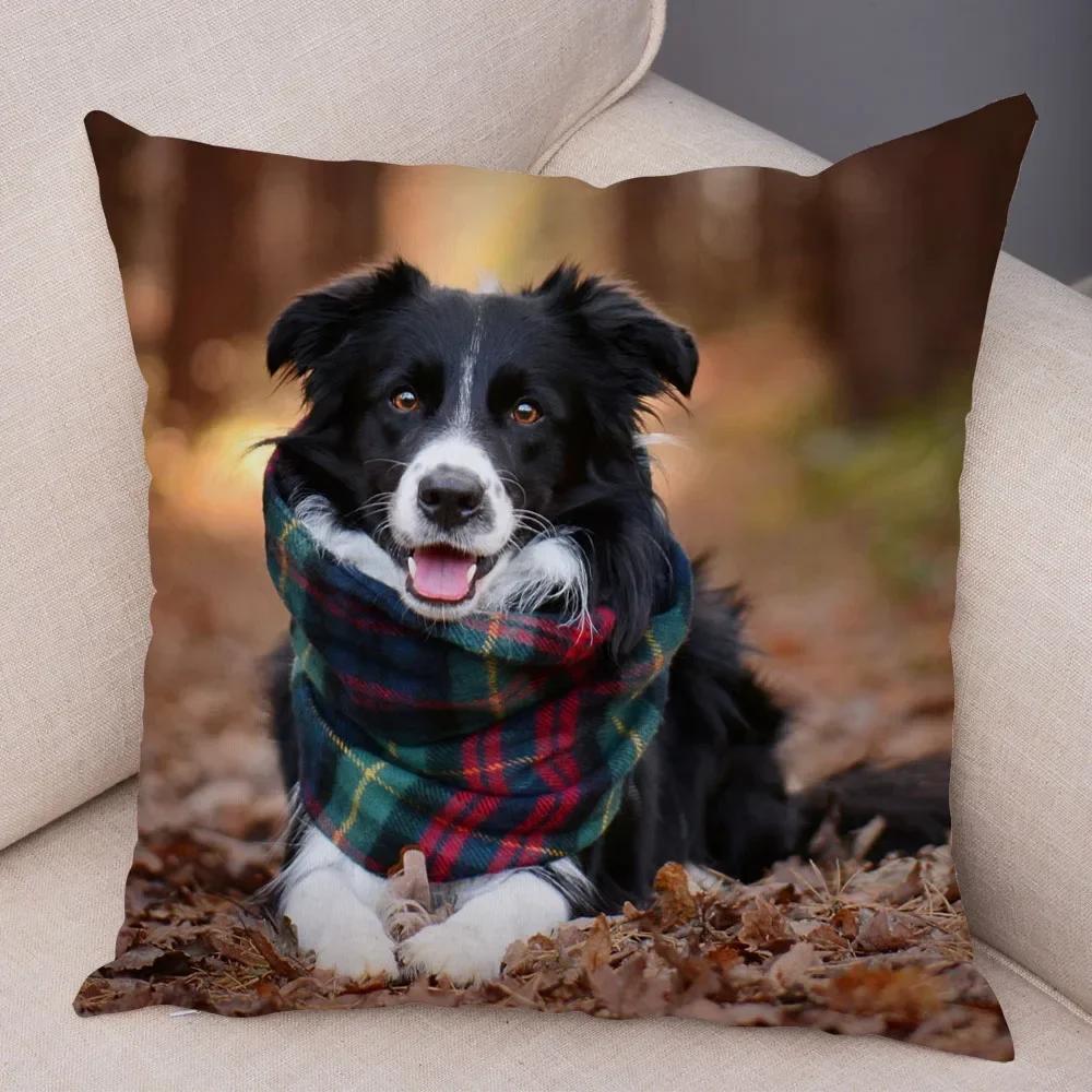 Cute Scottish Border Collie Pillowcase Dog Print Decor Pet Animal Cushion Cover Sofa