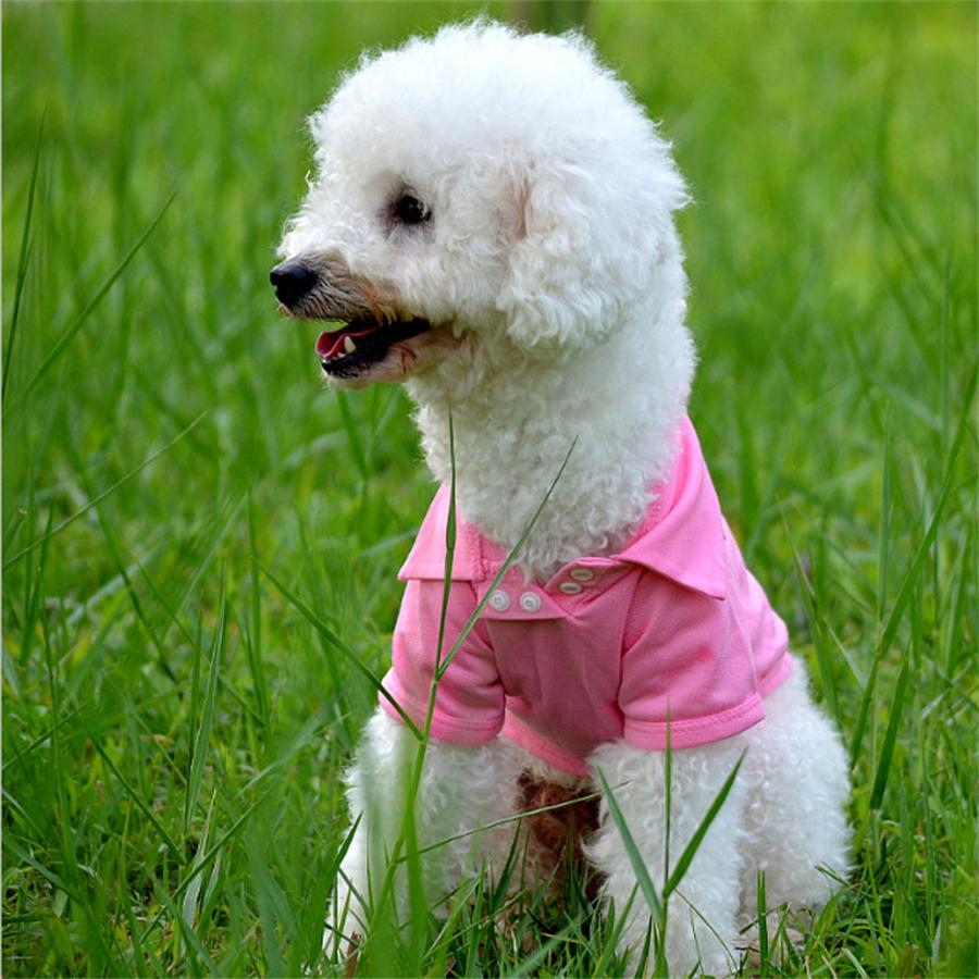 Fashion Dog Clothes for Teddy Small Dogs, Spring Summer Autumn Vest T-shirt Polo Shirt  Cute Dog Clothes for Small Breeds, Cotto