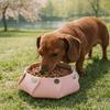 Silikon Hundefutternapf Aufsteckbar Faltbare Aufbewahrungsbox Tragbarer Haustier-Futterspender Schreibtischorganisation