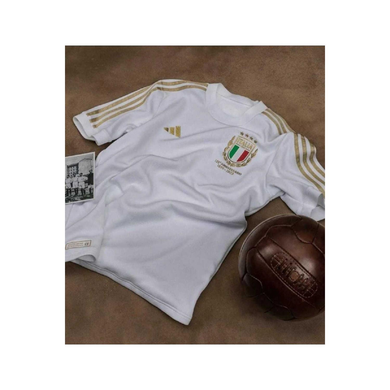 

Джерси специального дизайна в честь 125-летия Италии