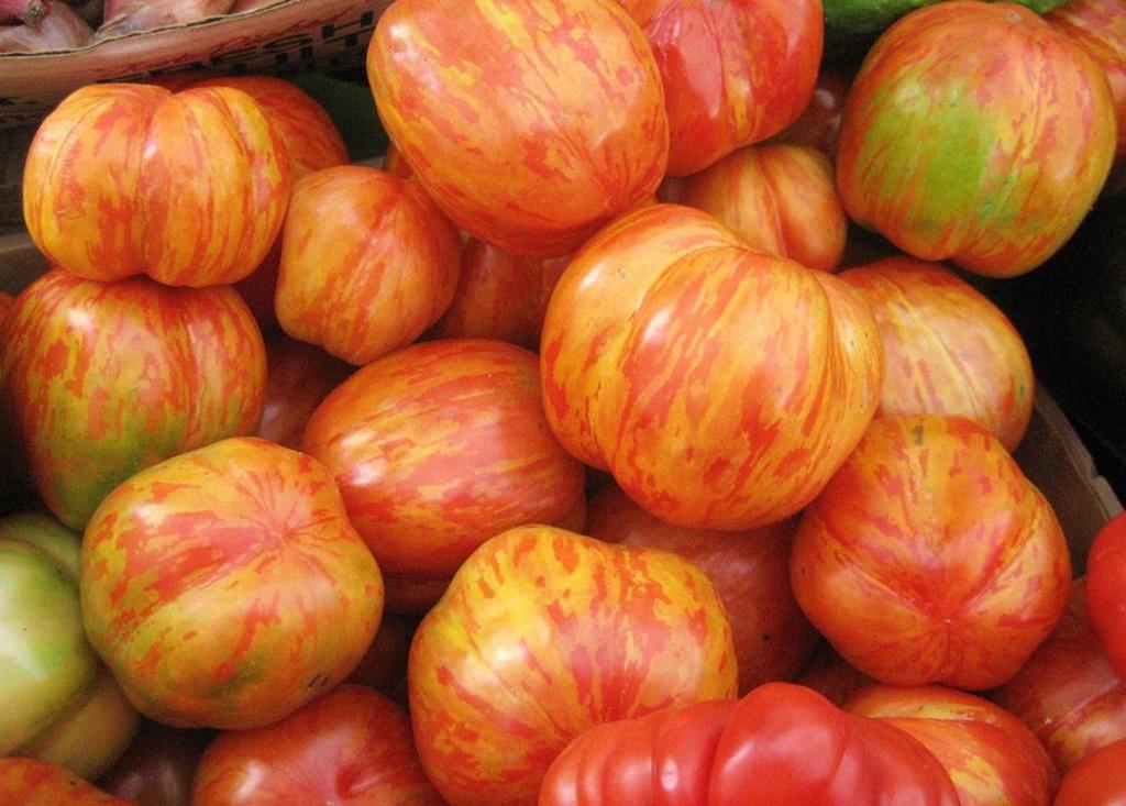 30 Tigerella Tomato Seeds - SemiWild Permaculture