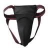 Hua Teng Martial Arts Groin Protector