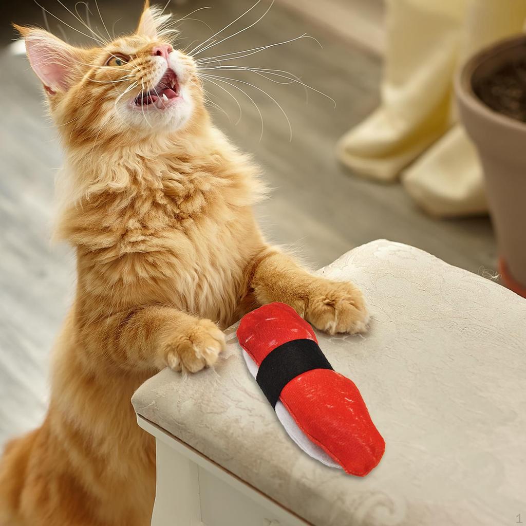 Cat nip Toy, Funny, Soft, Interactive Cats Toy,Kitten Entertaining Toys for Cats, Kitty