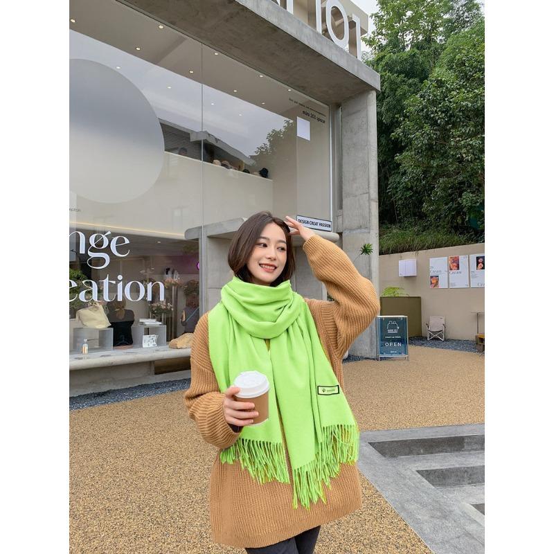 Solid Color Wool Scarf for Women Autumn and Winter Tassel Air Conditioned Room Shawl Green Red Winter Men's Cashmere Scarf