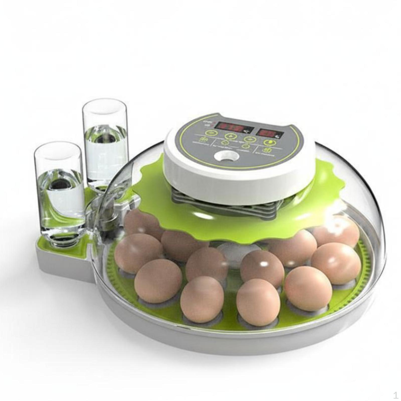 Ovum Incubator, Automatic Temperature & Humidity